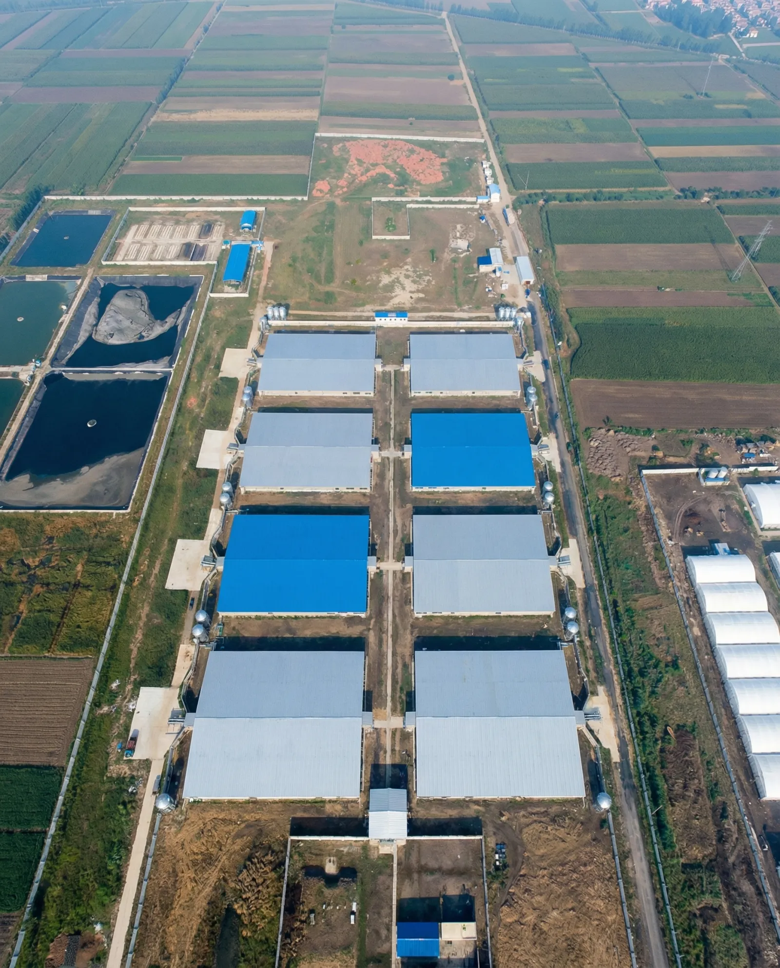 Breeder Farm